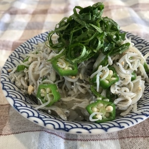 夏にオススメ☆しらすとオクラのさっぱり丼